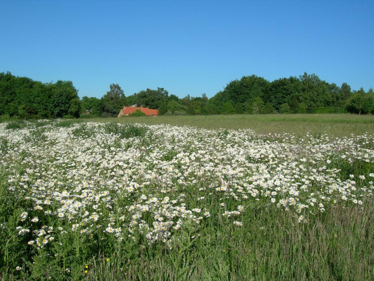 Heath Farm Holiday Cottages Swerford Екстер'єр фото